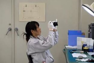 從精密制造到溫情守護(hù) 日本富士工廠實(shí)拍與課后看護(hù)服務(wù)的多元視角